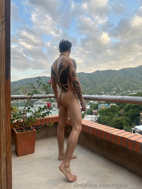 MilO beautiful star pics