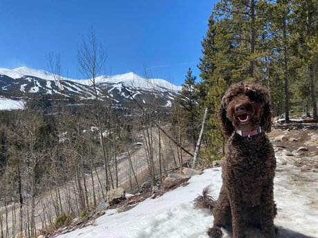 Bumper Ann model naked pic