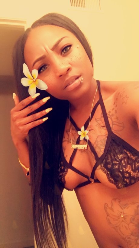 Killnhoes high quality star gallery