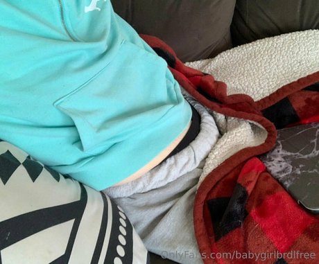 babygirlbrdlfree star pornographic archive