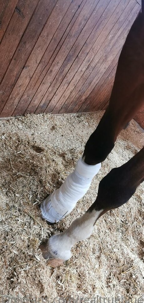 influencer onlyfans beautiful xxx photos