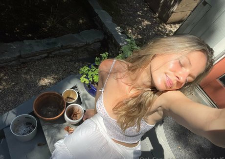 hailey pandolfi pornographic star pics