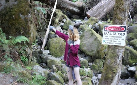 sunflowerseedling model hd archive