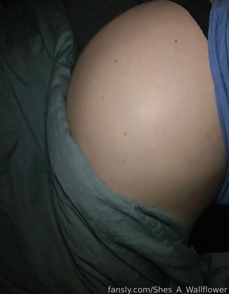 shes a wallflower pornstar art archive