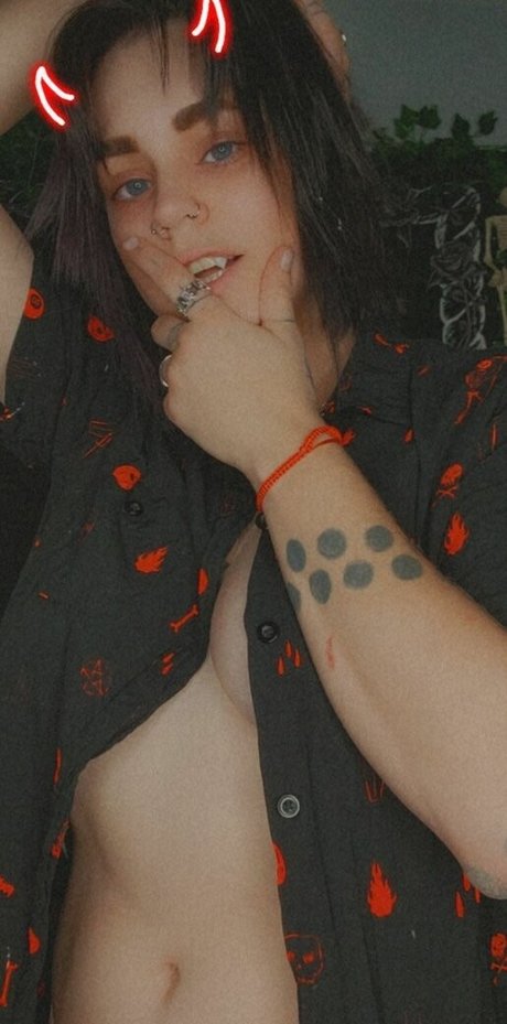 Coophound star hd photos