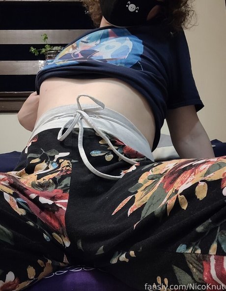 NicoKnut model top image