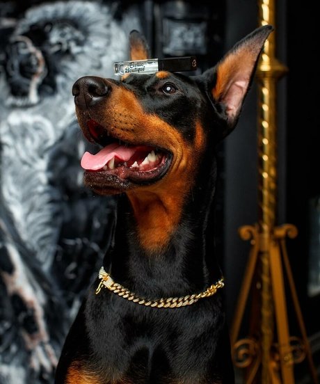 Thailiian naked pornstar image