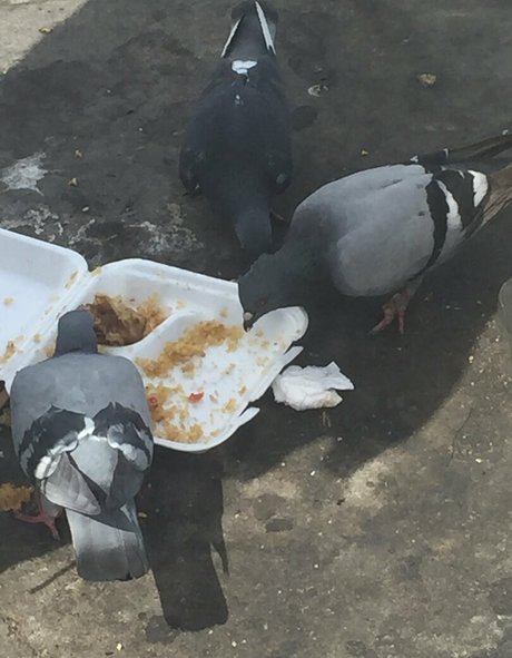 illtakeeverything model best image