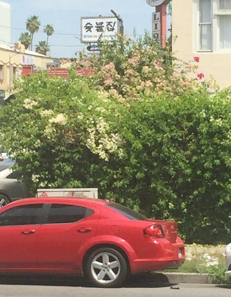 illtakeeverything star naked img