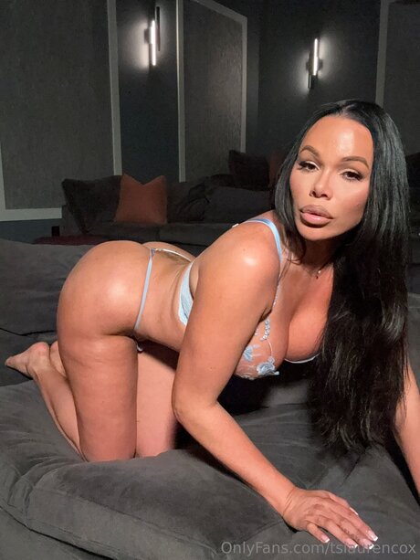 tslaurencox hd pornstar pictures