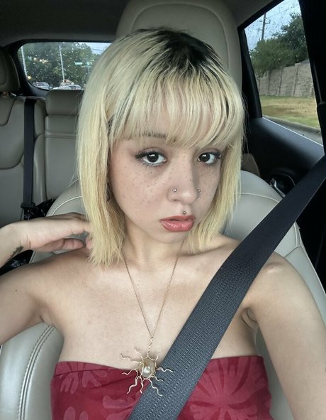 Ilselovesyou pornstar xxx gallery