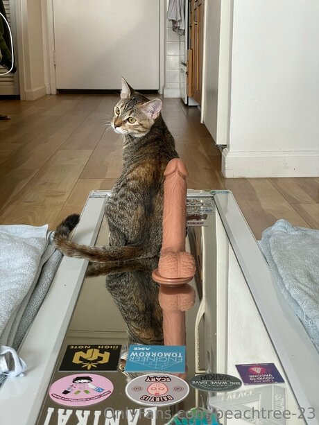 first time sex onlyfans free sex images