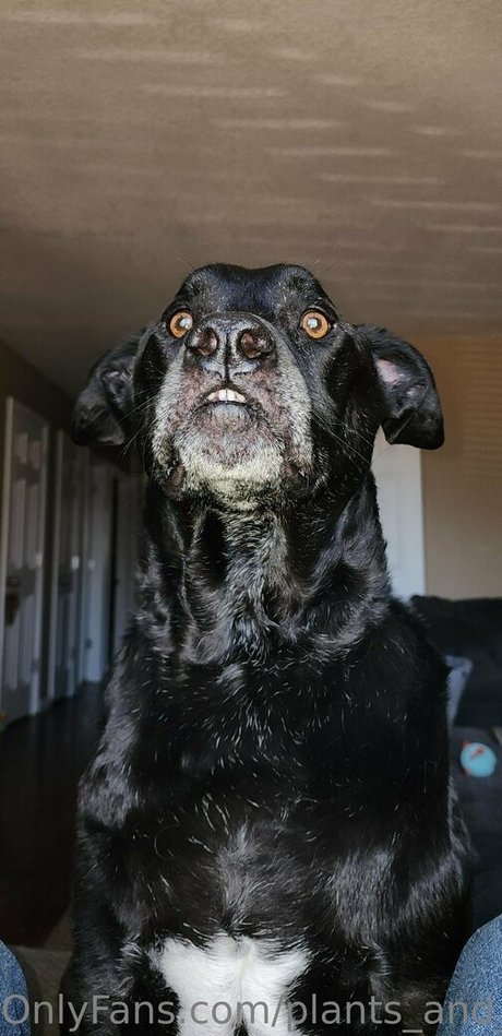 balls onlyfans sexy nudes img