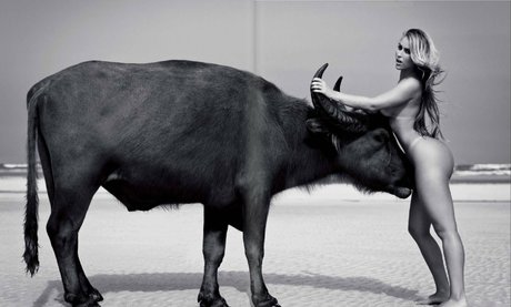 Andressa Ribeiro free model images