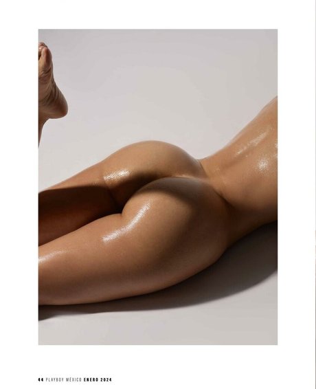 Danyan Cat model nice archive