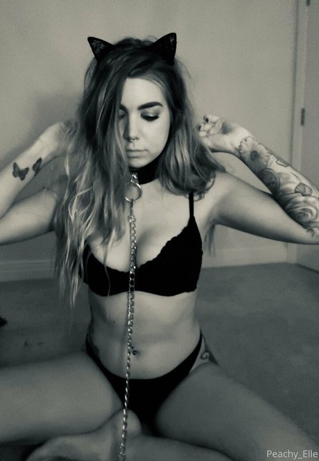 ellehart free free star galleries