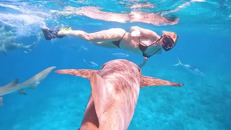 pregnant nude onlyfans free sexy img