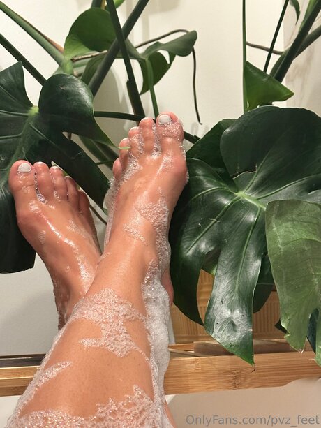 Pvz Feet best star galleries