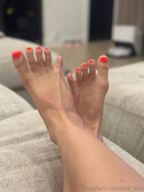 Pvz Feet star adult picture
