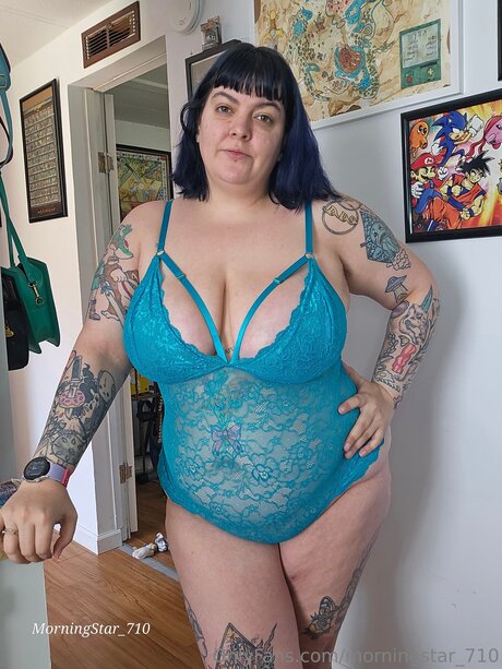 Morningstar 710 model pornographic picture