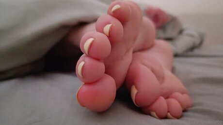 flight attendant onlyfans beautiful xxx pictures