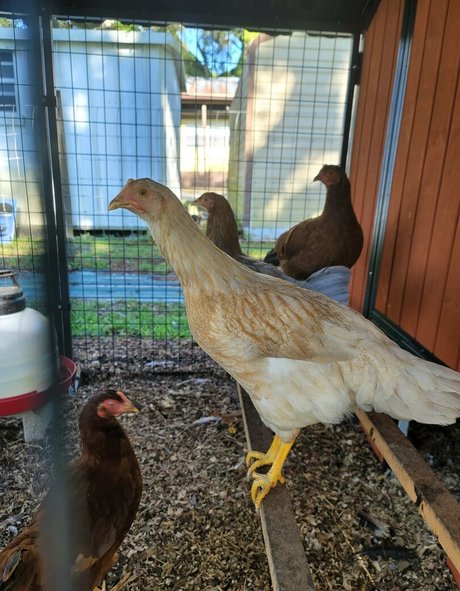 mouth onlyfans best photos