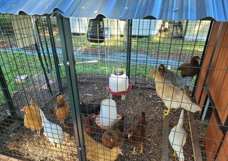 knees onlyfans sexy nude pics