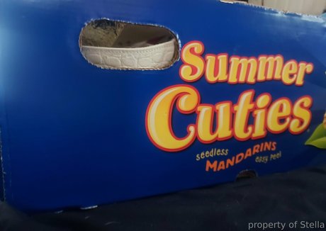 blonde deepthroat onlyfans hd photos