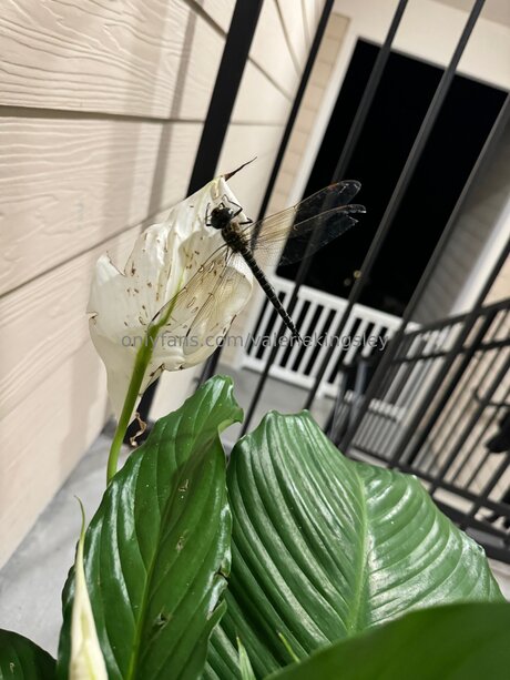 hairy teen pussy onlyfans hot naked pictures