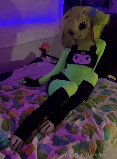 Elliebugs best star picture