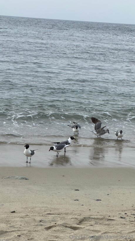 fisting onlyfans beautiful gallery