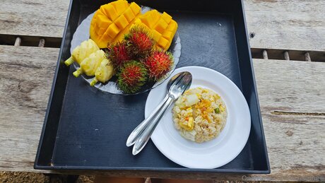 Rexistonee model hd img