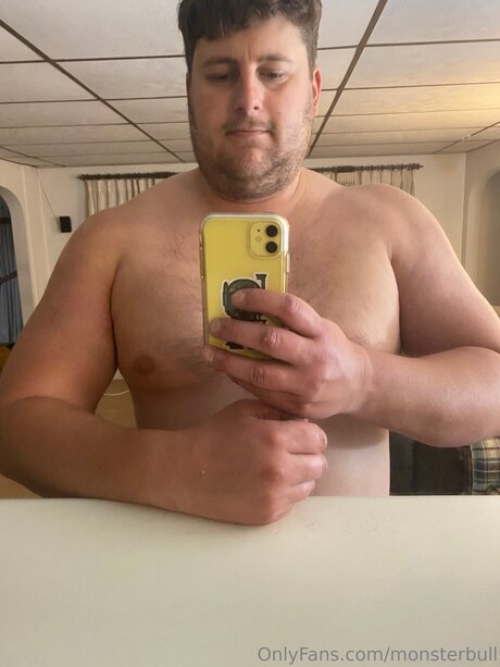 Thebulkinghog top star galleries