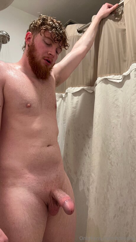 Brodenv star nice archive