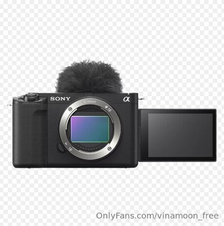 Vinamoon Free model high quality pic