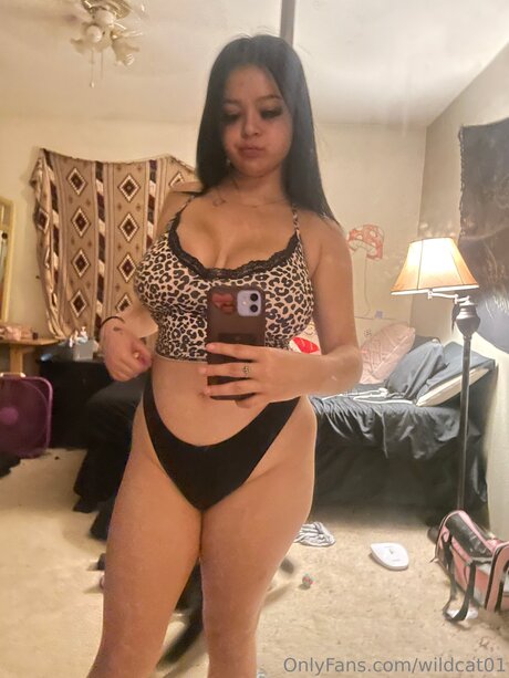 Wildcat01 model perfect images