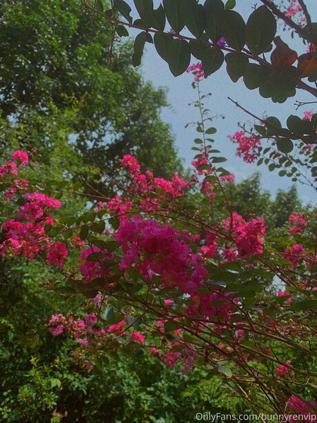 pictures onlyfans nude pic