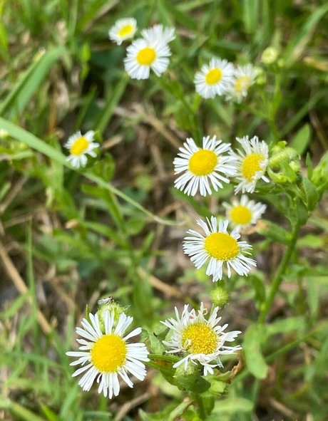 slim onlyfans adult galleries