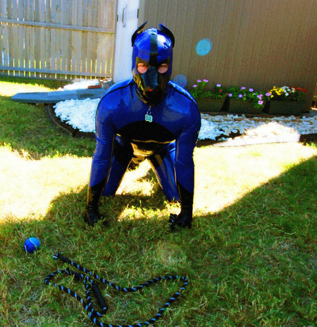 skystudios42 art pornstar archive