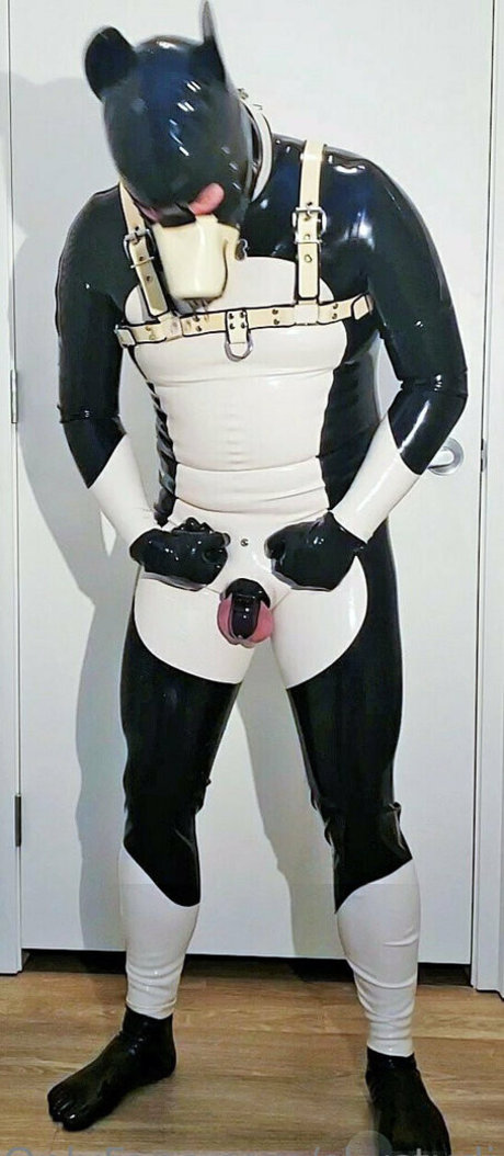 skystudios42 exclusive pornstar galleries