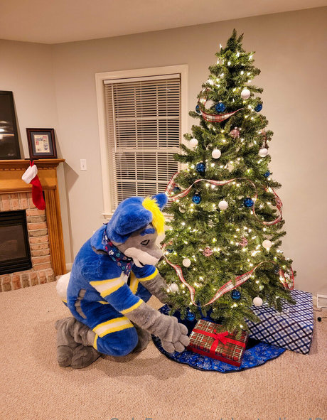 skystudios42 profile pic