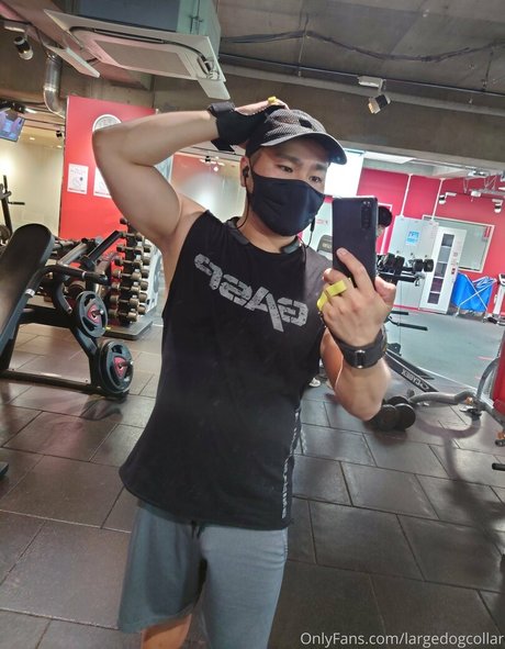 college student onlyfans hd gallery