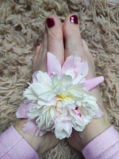 Goddessblondiefeet nice actress img