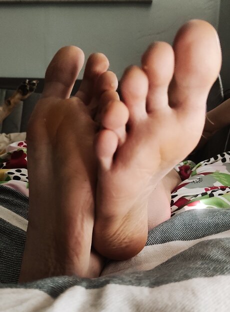 Goddessblondiefeet pornstar hd image