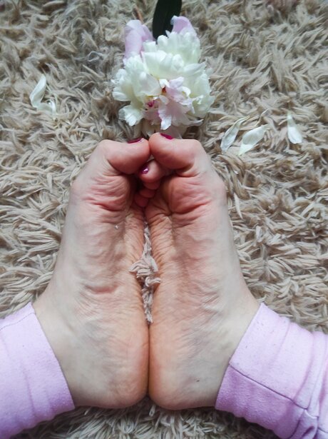 Goddessblondiefeet pornstar beautiful image