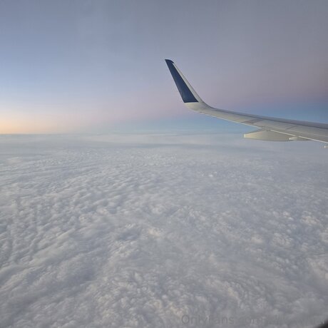 black shemale onlyfans art xxx image