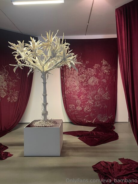 Eva Bambano porn star photo