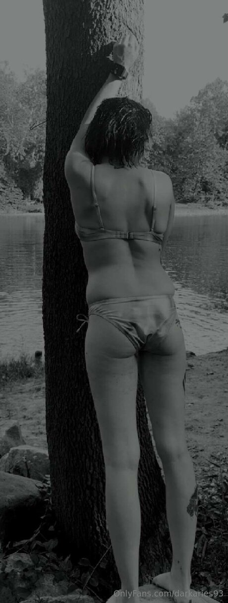 bbw tranny onlyfans hot images