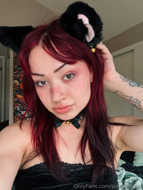 Picassonoel profile pic