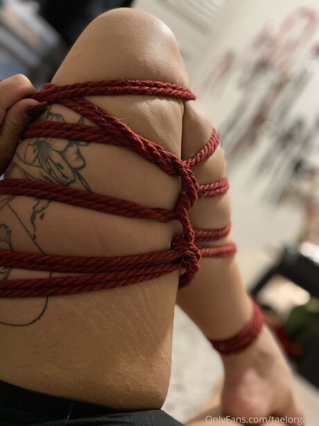 Taelorgang porn star image